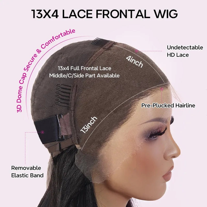Christy V 13x4 Straight Lace Front Wig Natural Black Remy Hair